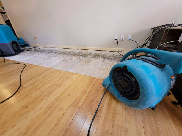 Professional Sewage Cleanup technician working in Fulda, MN